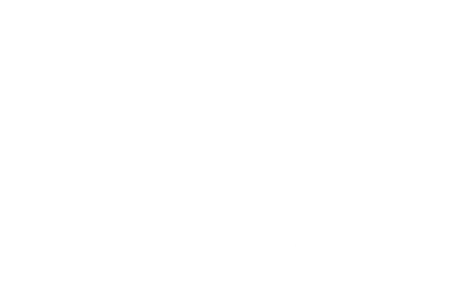 BlueBirds Pay